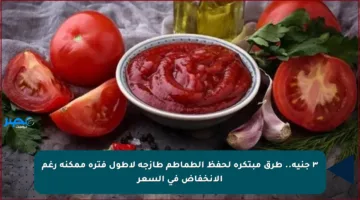 ٣ جنيه.. طرق مبتكرة لحفظ الطماطم طازجة لأطول فترة ممكنة رغم الانخفاض في السعر